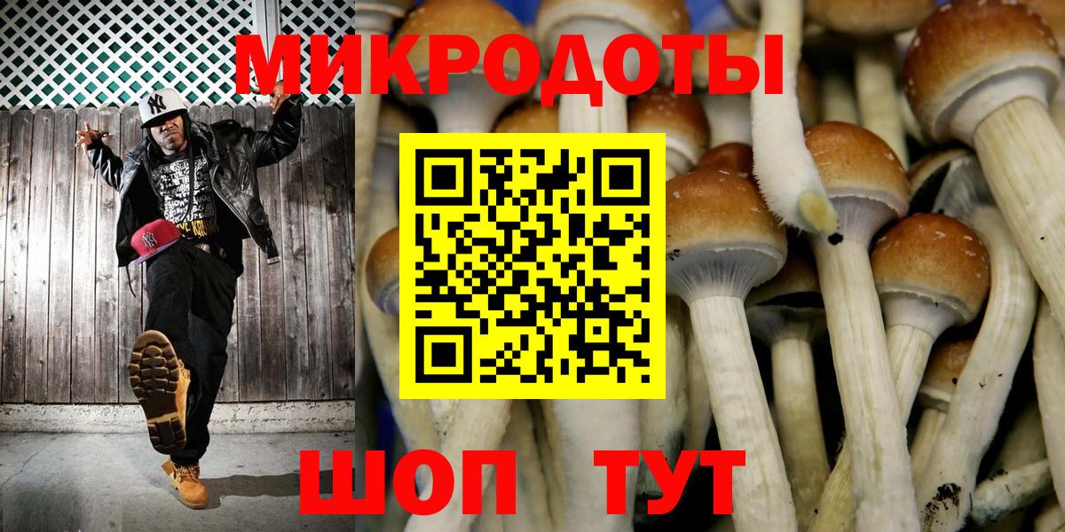 Псилоцибиновые грибы мицелий Куйбышев