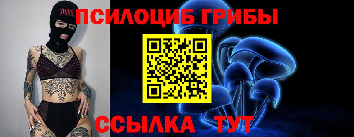 Псилоцибиновые грибы ЛСД  Галлюциногенные грибы мицелий  Вход с VPN  Куйбышев 